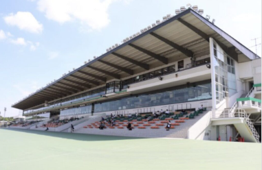 スタンド競馬場