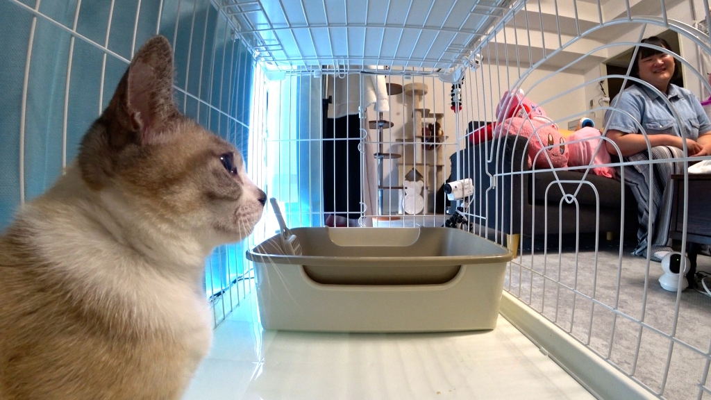 ヨネダ2000愛さんとかぼす